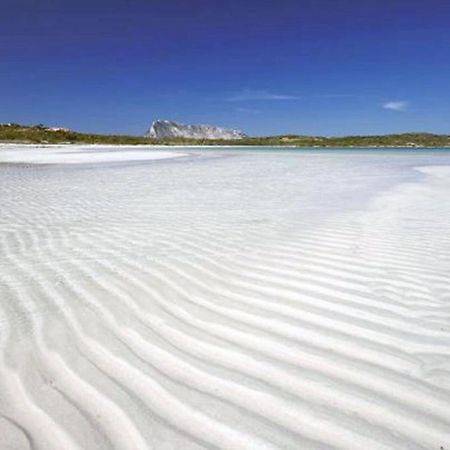 Sardinian Holiday Olbia Exterior photo